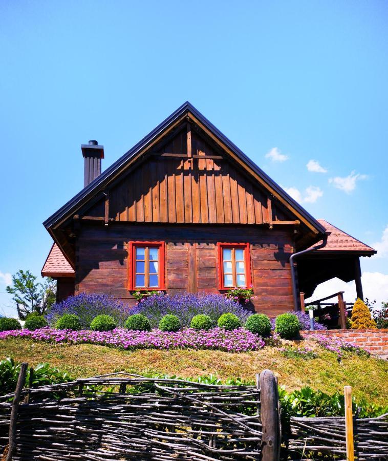 Kuca Za Odmor Stara Hiza Villa Selnica Exterior photo